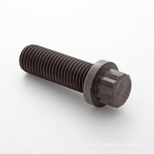 12 Point Flanged Screw